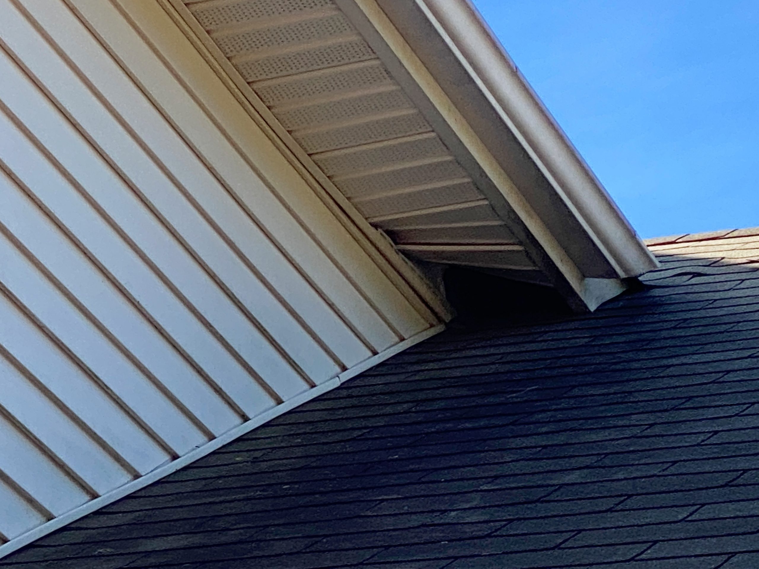 Wildlife entry point and exterior damage inspection
