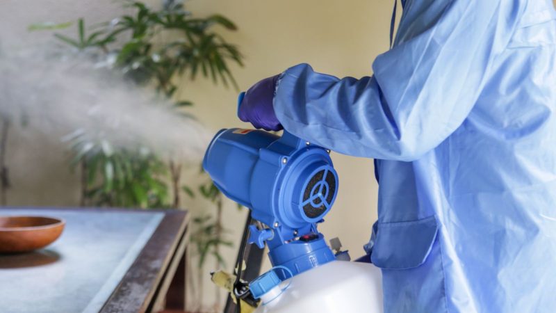 Animal Control NYC Disinfection Services: Safeguarding Your Space After ...