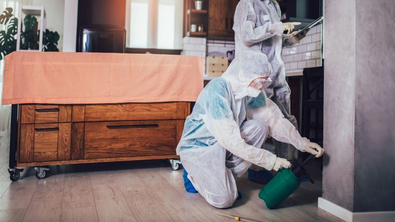 Animal Control NYC Disinfection Services: Safeguarding Your Space After ...