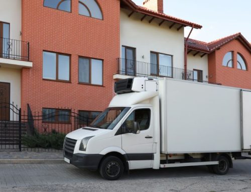 The Benefits of Hiring a Professional Animal Relocation Service