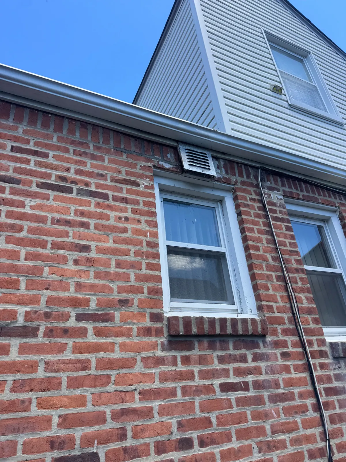 birds stuck in vents in Astoria NY exterior vent opening