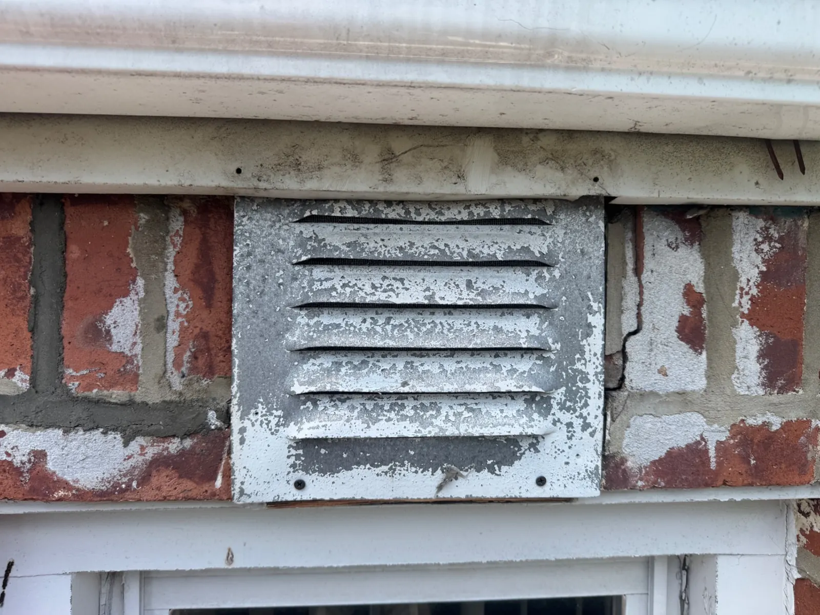 Louver vent reinstalled after bird proofing work
