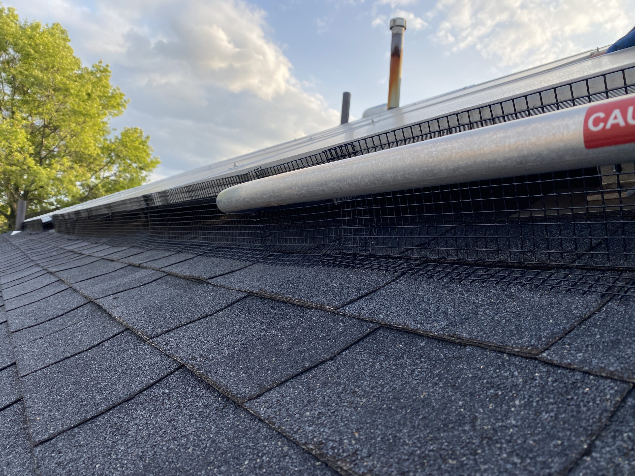 Solar panel bird and critter guard installation in Marlboro NJ