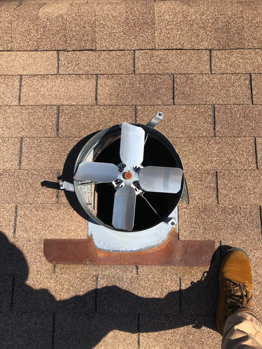 Raccoon removal and roofline entry inspection near Point Pleasant Beach NJ
