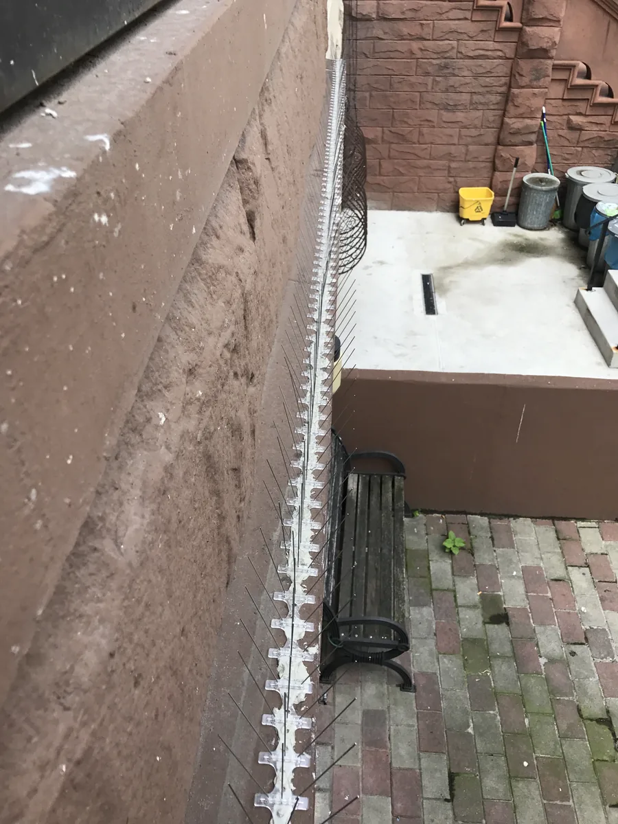 Bird spikes installed along a Manhattan brownstone ledge