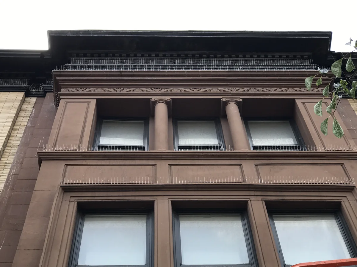 Bird spikes installed on a brownstone cornice in Morningside Heights