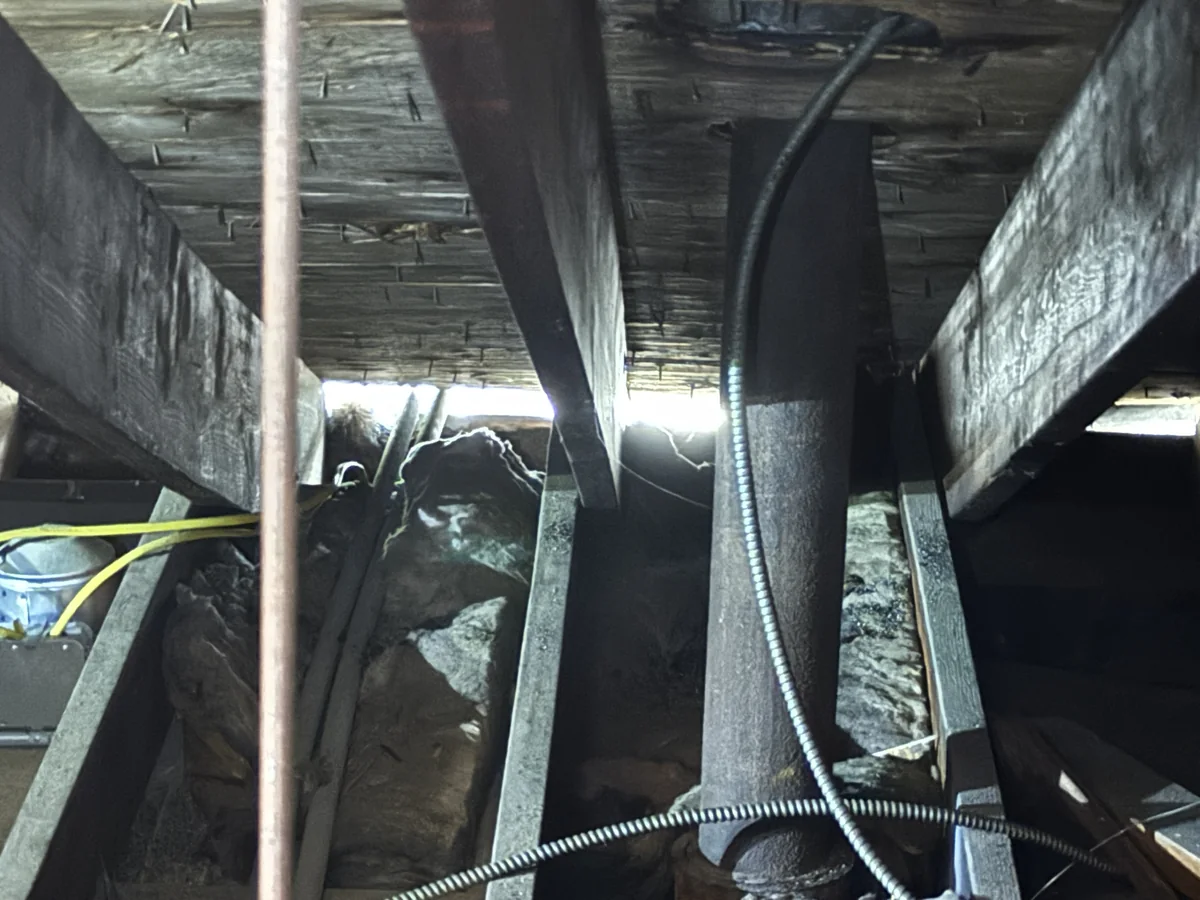 Attic soffit access area inspected during Staten Island bird control