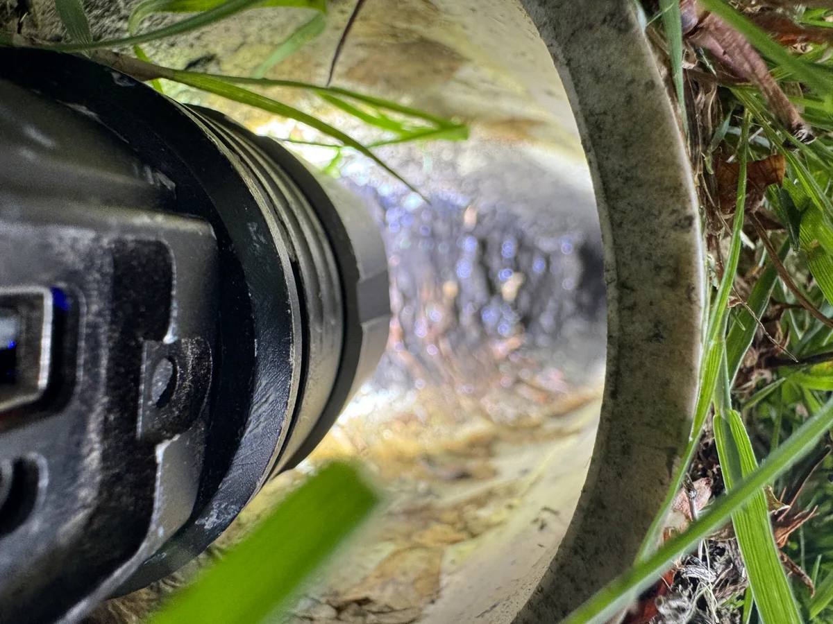 Bird nesting debris inside a Staten Island vent opening