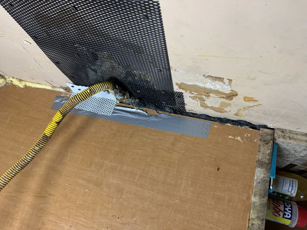 Utility opening secured during Bronx squirrel entry-point proofing